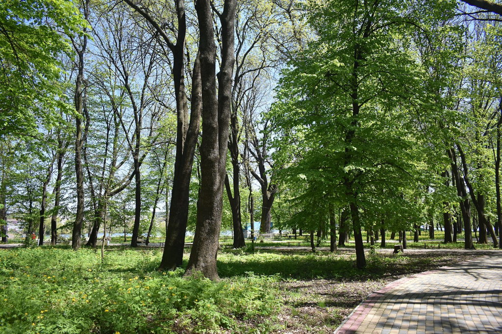 Міський парк Бершаді