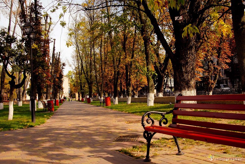 Міський парк Шевченка, Бровари