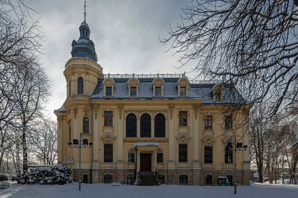 Палац Шен, Сосновець