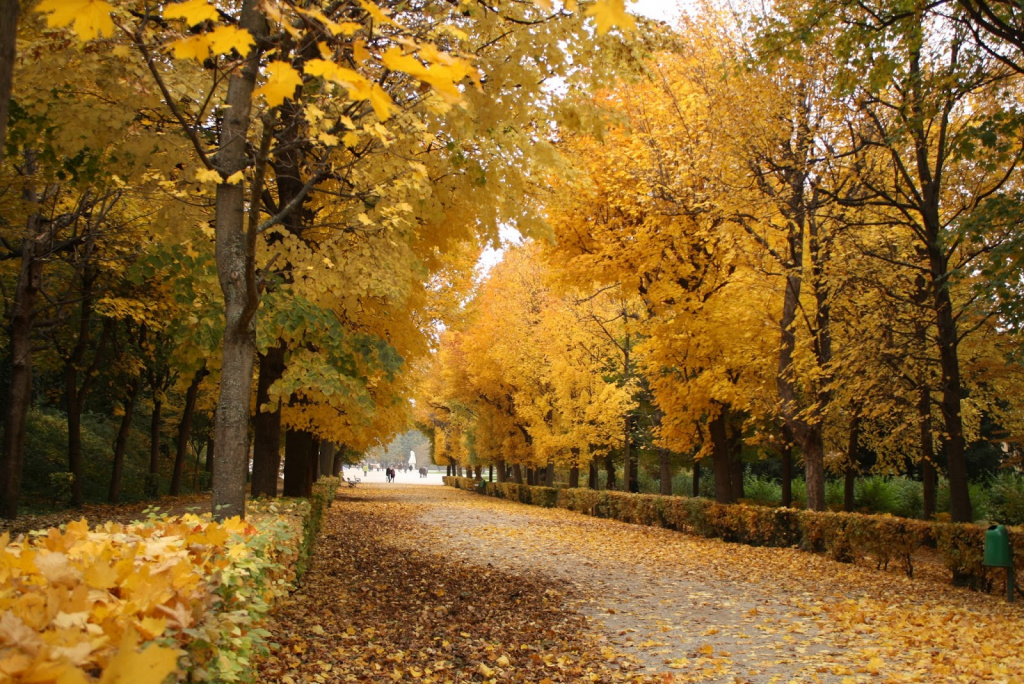 Сади Шенбрунн, Відень